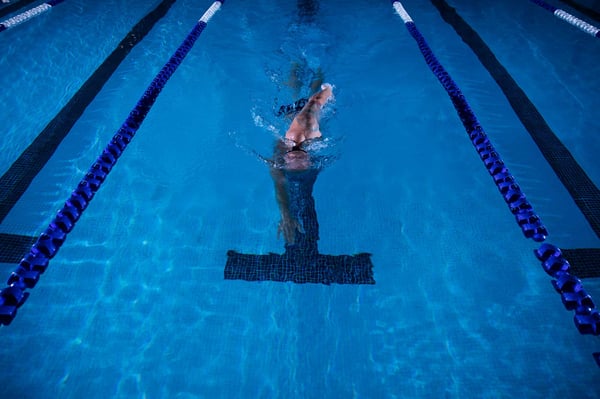 freestyle swim