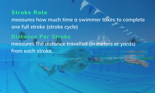 Stroke Rate & DPS Graphic