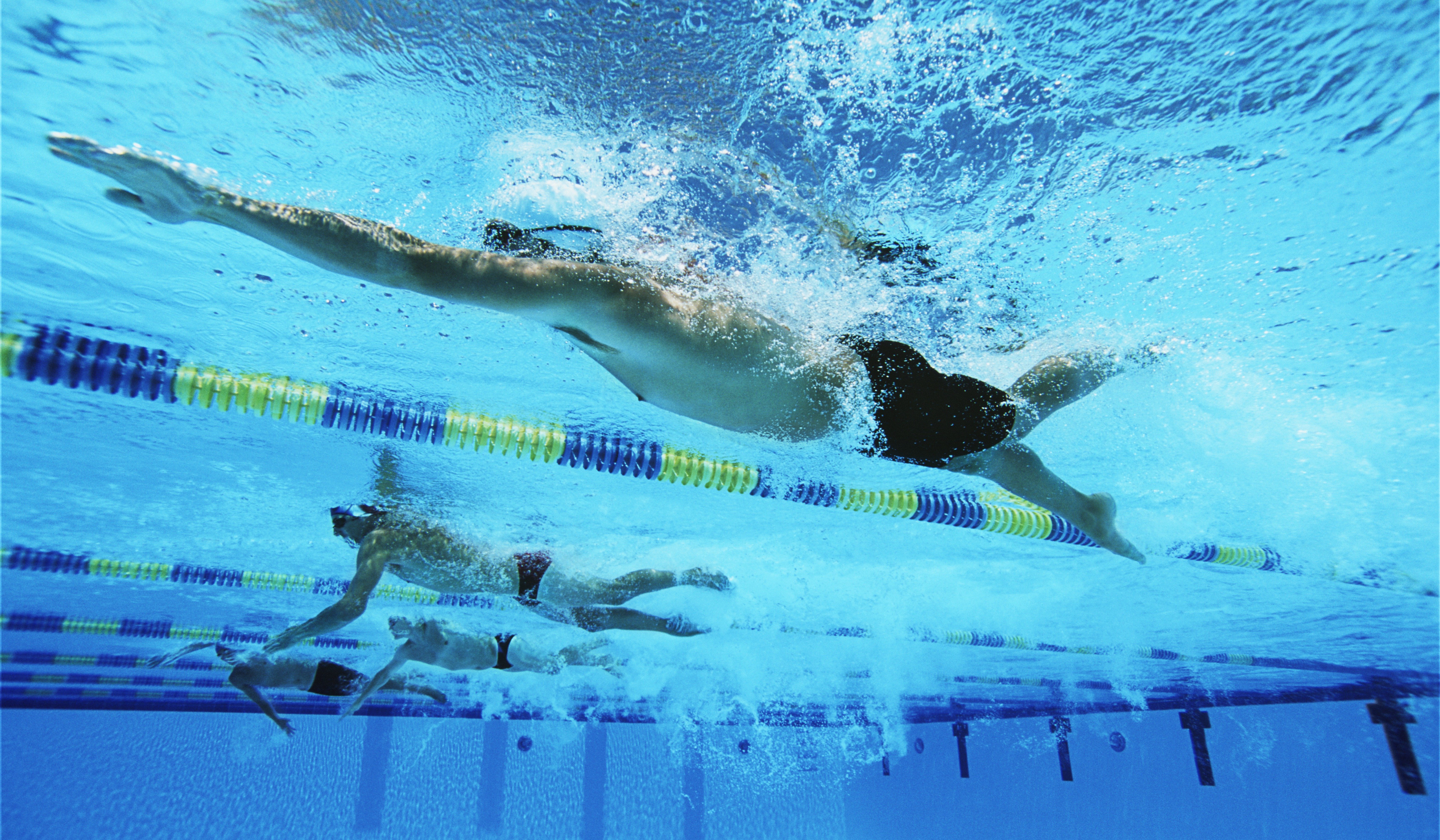 Плавонье. Плавание (спорт). Плавание вид спорта. Плавание картинки. Плавание в бассейне.